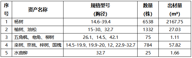bbin集团官网 - 相信品牌的力量